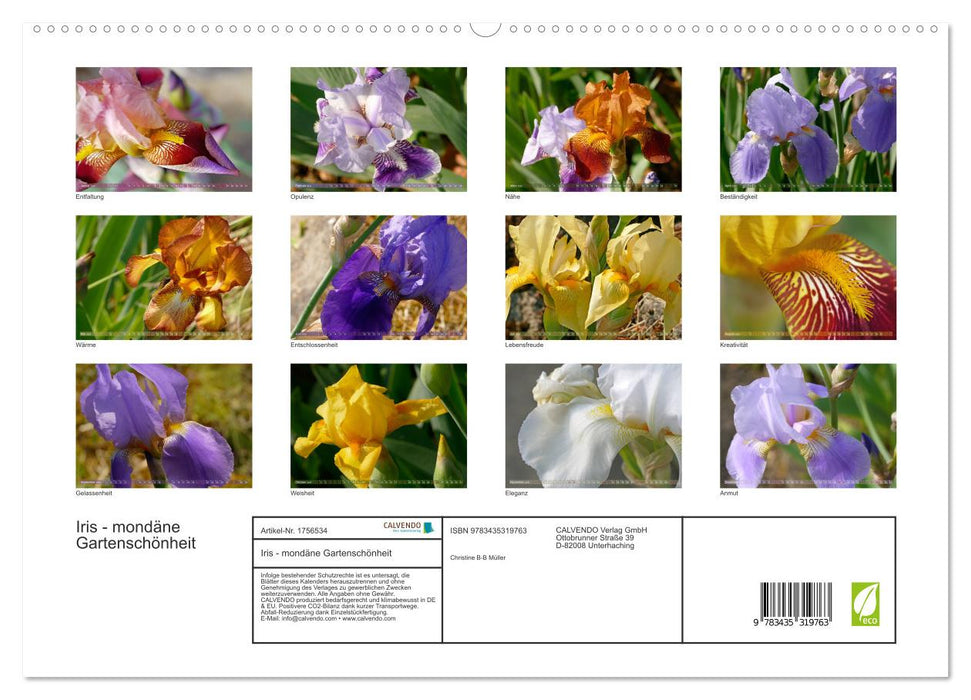 Iris - mondäne Gartenschönheit (CALVENDO Premium Wandkalender 2025)