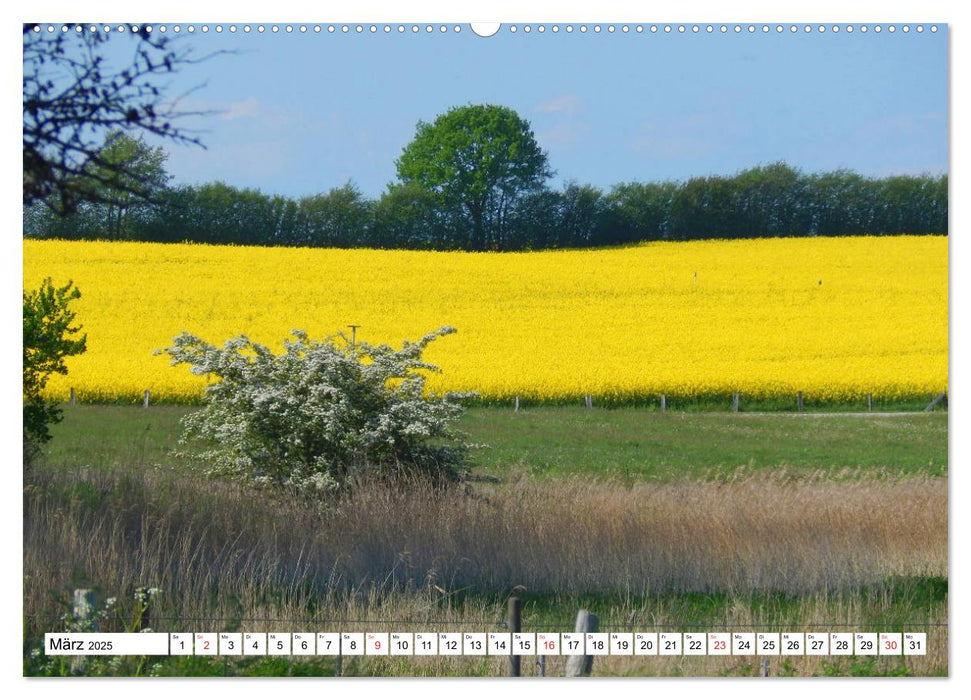 Schleswig-Holstein Moin Moin (CALVENDO Premium Wandkalender 2025)