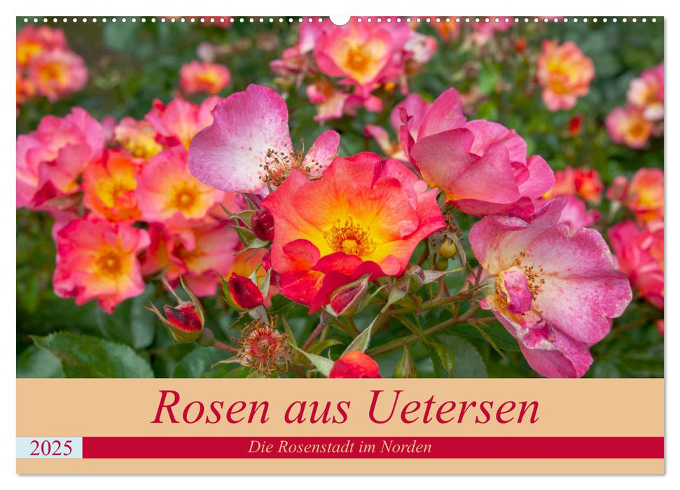 Rosen aus Uetersen (CALVENDO Wandkalender 2025)