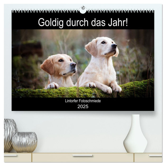 Goldig durch das Jahr! (CALVENDO Premium Wandkalender 2025)