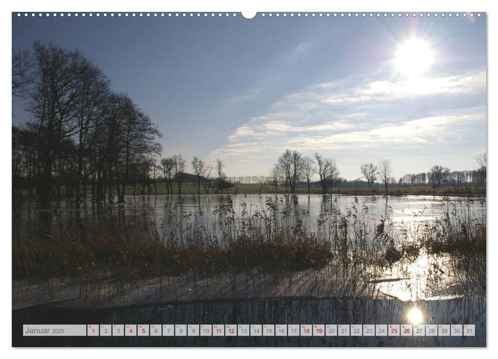 Natur-Paradies Mecklenburgische Schweiz (CALVENDO Premium Wandkalender 2025)