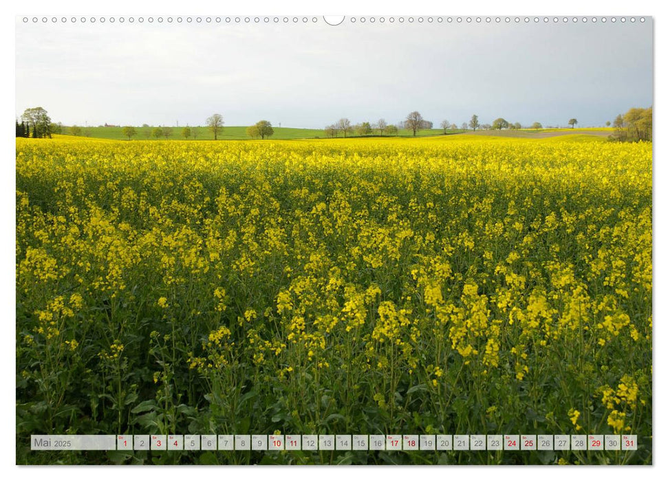 Natur-Paradies Mecklenburgische Schweiz (CALVENDO Premium Wandkalender 2025)