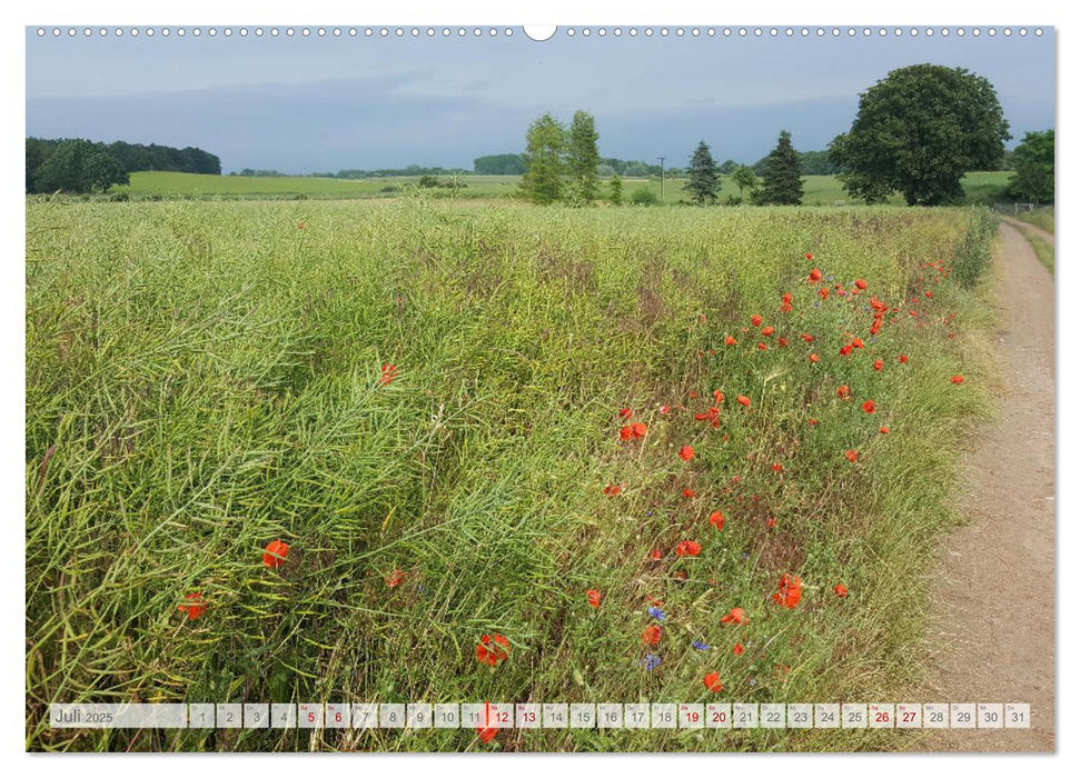 Natur-Paradies Mecklenburgische Schweiz (CALVENDO Premium Wandkalender 2025)