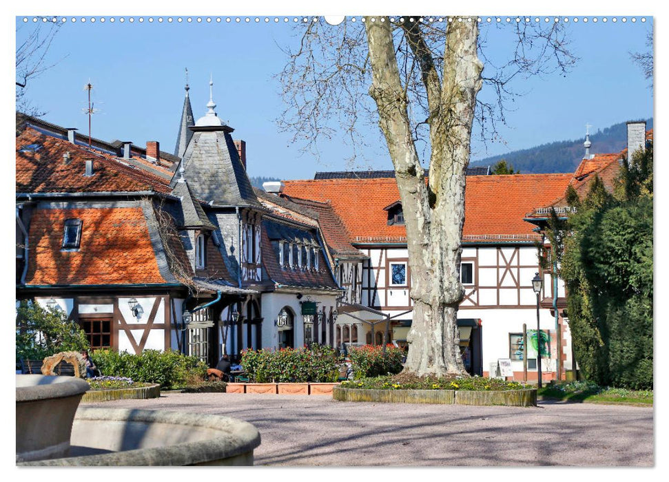 Königstein im Taunus vom Frankfurter Taxifahrer Petrus Bodenstaff (CALVENDO Wandkalender 2025)