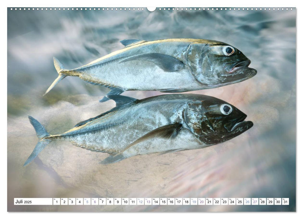 Fischwelt - Artwork (CALVENDO Premium Wandkalender 2025)