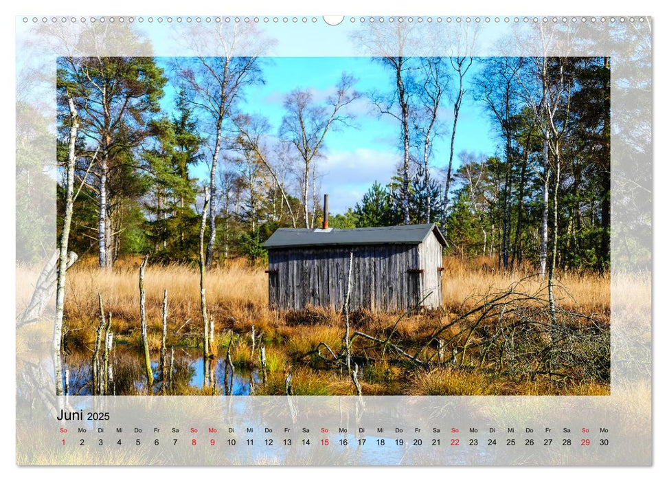 Impressionen aus dem Tister Bauernmoor (CALVENDO Premium Wandkalender 2025)