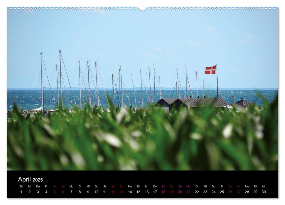 Segelsommer - Dänische Südsee (CALVENDO Premium Wandkalender 2025)