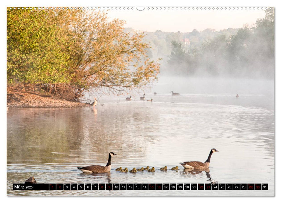 Die Ruhr in Essen (CALVENDO Premium Wandkalender 2025)