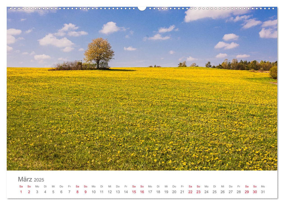 Wunderbare Fränkische Schweiz (CALVENDO Wandkalender 2025)