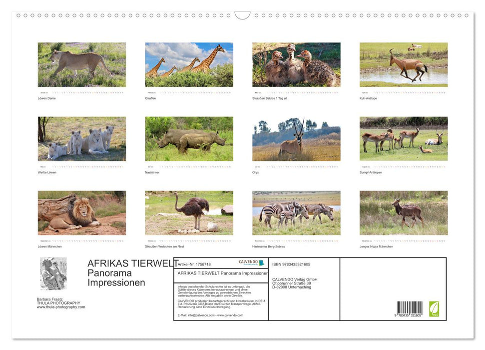 AFRIKAS TIERWELT Panorama Impressionen (CALVENDO Wandkalender 2025)