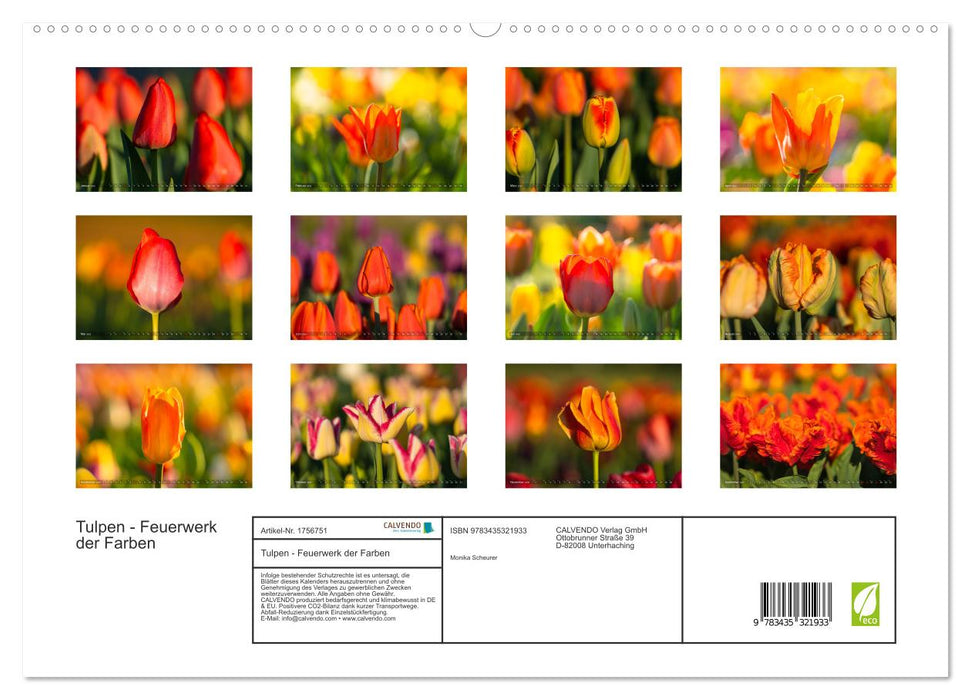 Tulpen - Feuerwerk der Farben (CALVENDO Premium Wandkalender 2025)