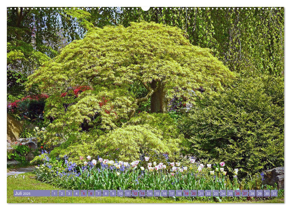 Japanischer Garten Leverkusen (CALVENDO Premium Wandkalender 2025)