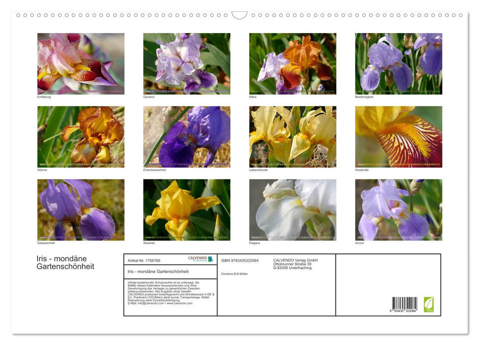 Iris - mondäne Gartenschönheit (CALVENDO Wandkalender 2025)