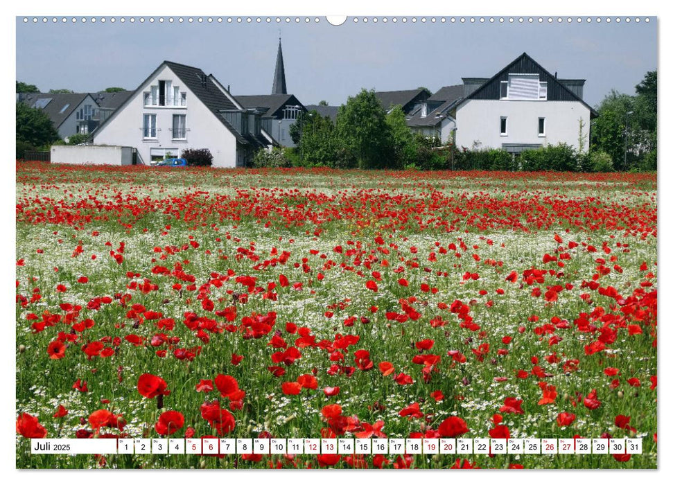 Widdersdorf - Boomtown im Kölner Westen (CALVENDO Premium Wandkalender 2025)