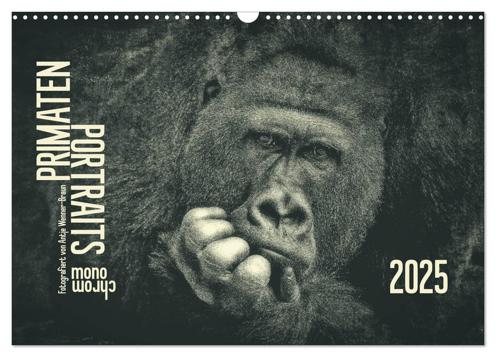 PRIMATEN PORTRAITS - monochrom (CALVENDO Wandkalender 2025)