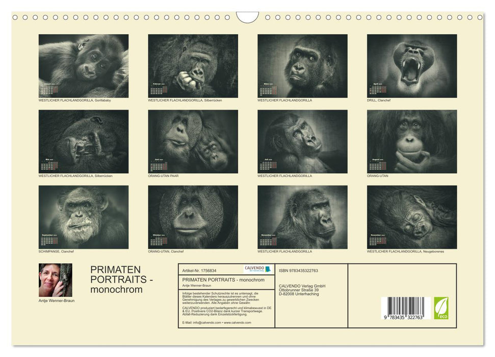 PRIMATEN PORTRAITS - monochrom (CALVENDO Wandkalender 2025)