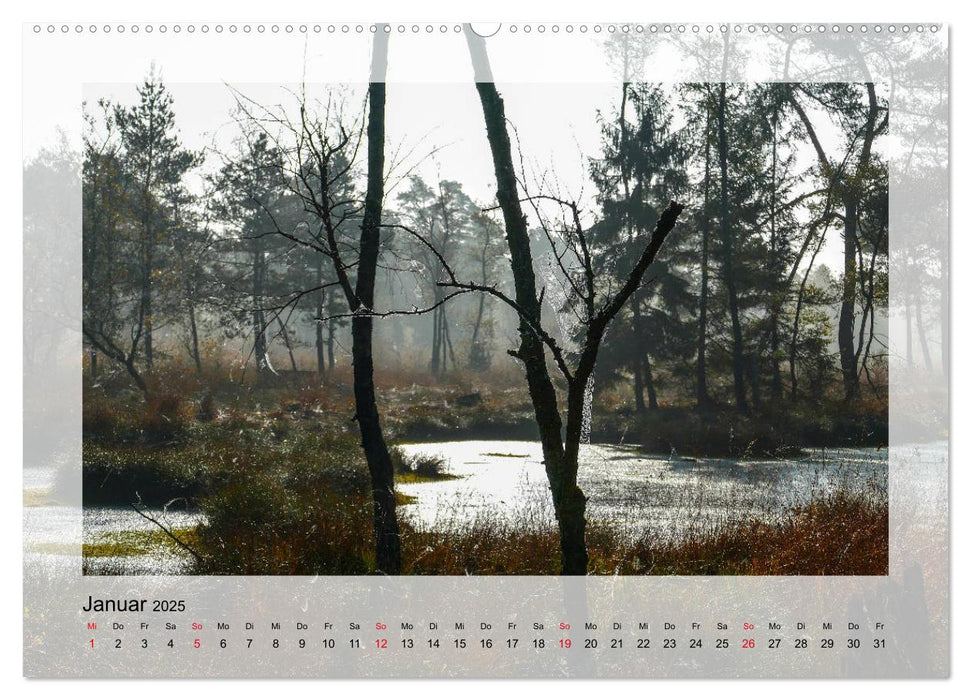 Impressionen aus dem Tister Bauernmoor (CALVENDO Wandkalender 2025)