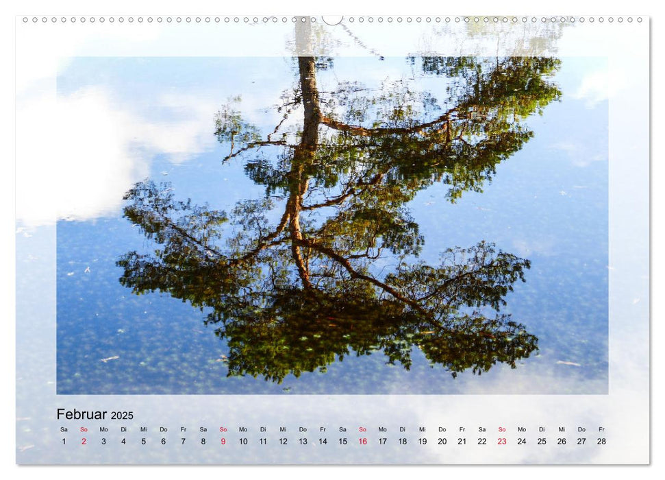 Impressionen aus dem Tister Bauernmoor (CALVENDO Wandkalender 2025)