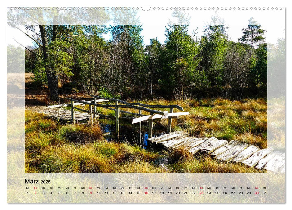 Impressionen aus dem Tister Bauernmoor (CALVENDO Wandkalender 2025)