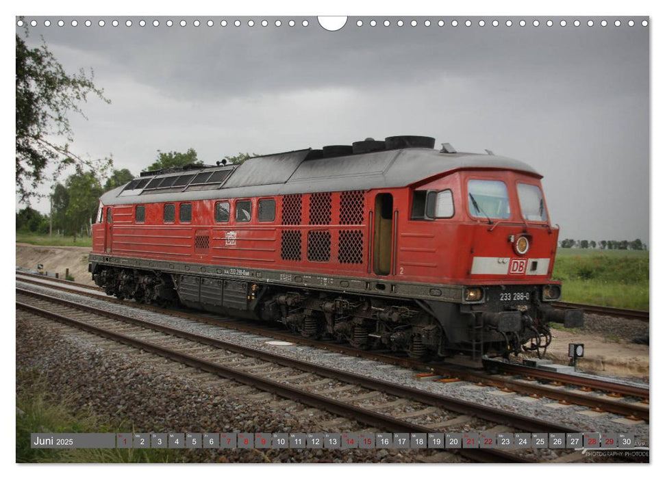 Diesel & Eisen - Bahnbetrieb auf Anhalts Nebenbahn (CALVENDO Wandkalender 2025)