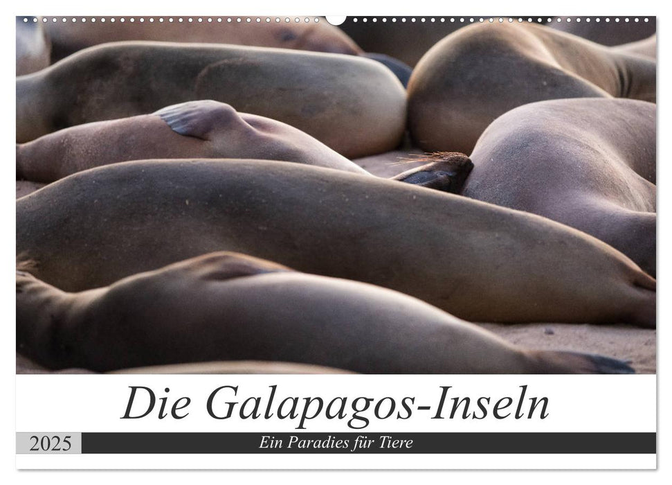 Galapagos-Inseln - Ein Paradies für Tiere (CALVENDO Wandkalender 2025)