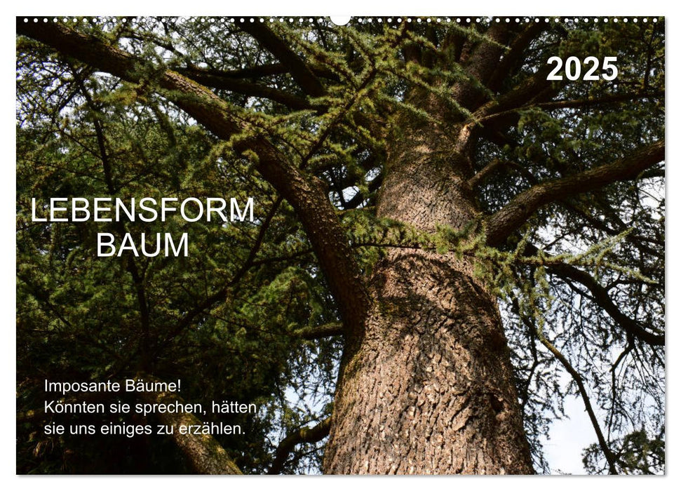 Lebensform Baum (CALVENDO Wandkalender 2025)