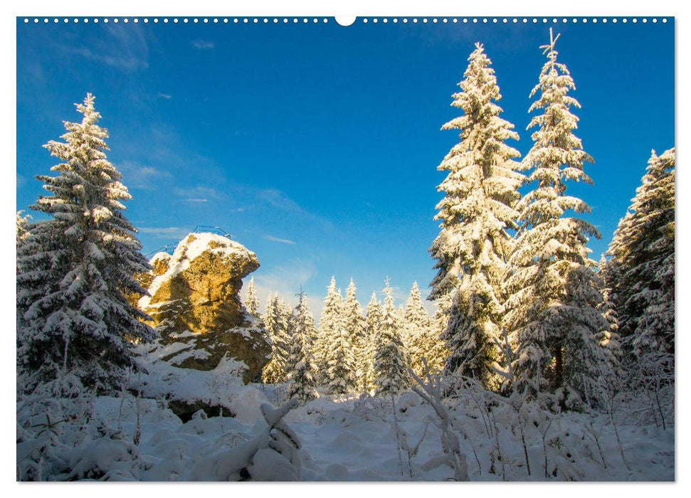 Vogtland - unsere Heimat (CALVENDO Premium Wandkalender 2025)