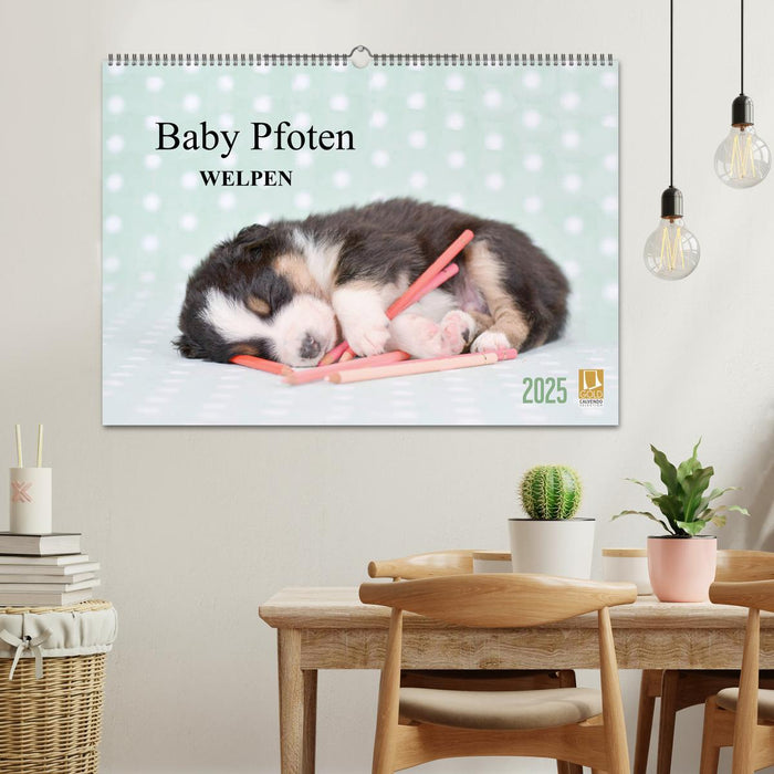 Baby Pfoten (CALVENDO Wandkalender 2025)