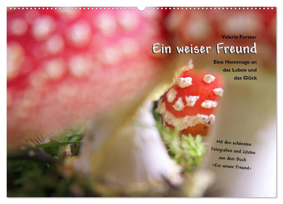 Ein weiser Freund - Kalender (CALVENDO Wandkalender 2025)