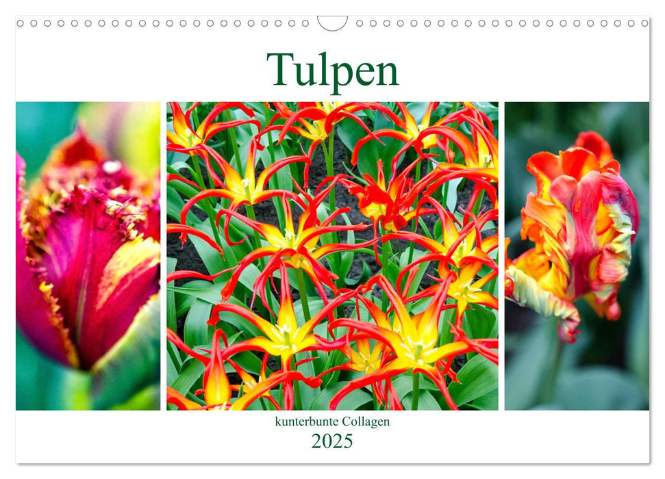 Tulpen - kunterbunte Collagen (CALVENDO Wandkalender 2025)