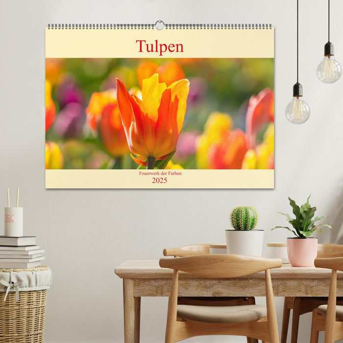 Tulpen - Feuerwerk der Farben (CALVENDO Wandkalender 2025)