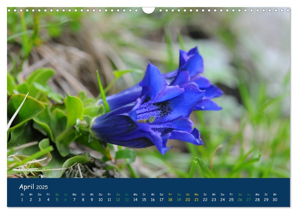 Bergwelt Hohe Tauern - Wandergenuss in alpiner Landschaft (CALVENDO Wandkalender 2025)