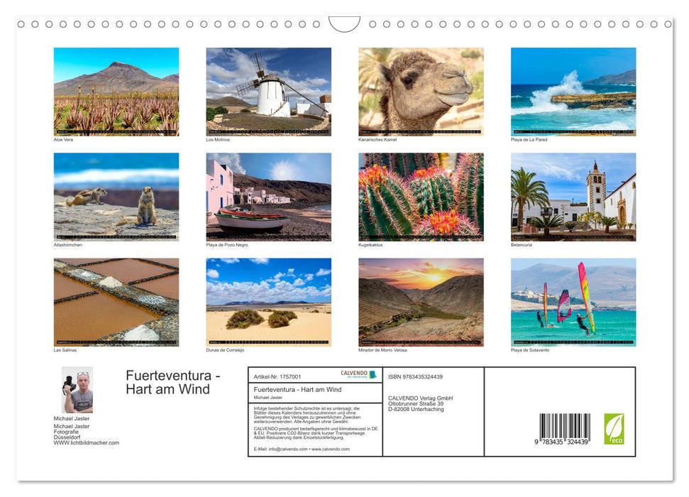 Fuerteventura - Hart am Wind (CALVENDO Wandkalender 2025)