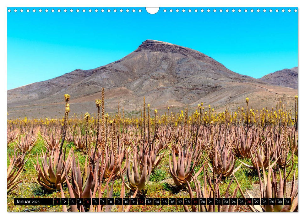 Fuerteventura - Hart am Wind (CALVENDO Wandkalender 2025)