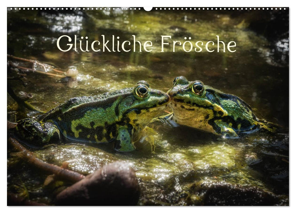 Glückliche Frösche (CALVENDO Wandkalender 2025)