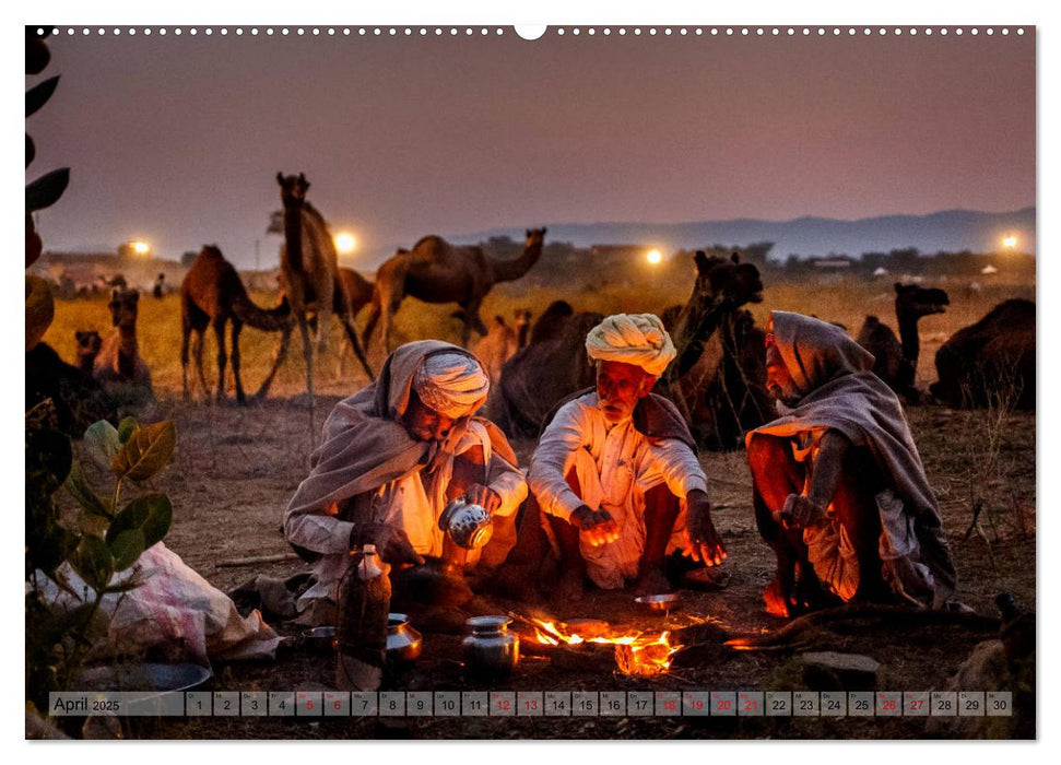 Indien Rajasthan: Unterwegs im Land der Könige (CALVENDO Premium Wandkalender 2025)