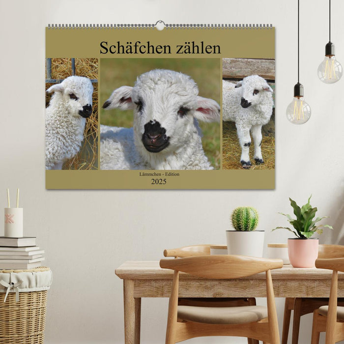 Schäfchen zählen - Lämmchen-Edition (CALVENDO Wandkalender 2025)