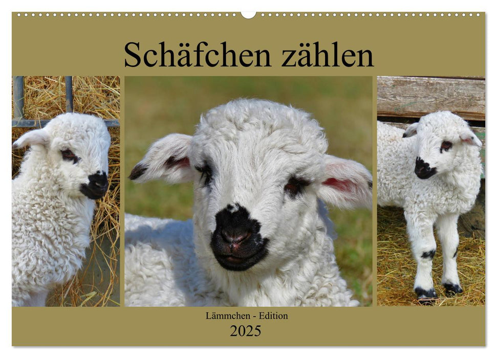 Schäfchen zählen - Lämmchen-Edition (CALVENDO Wandkalender 2025)