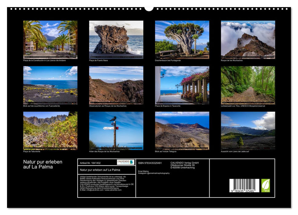 Natur pur erleben auf La Palma (CALVENDO Premium Wandkalender 2025)