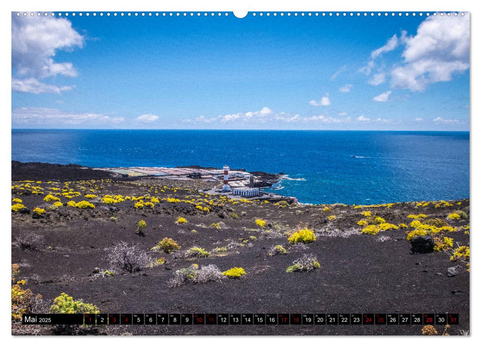 Natur pur erleben auf La Palma (CALVENDO Premium Wandkalender 2025)