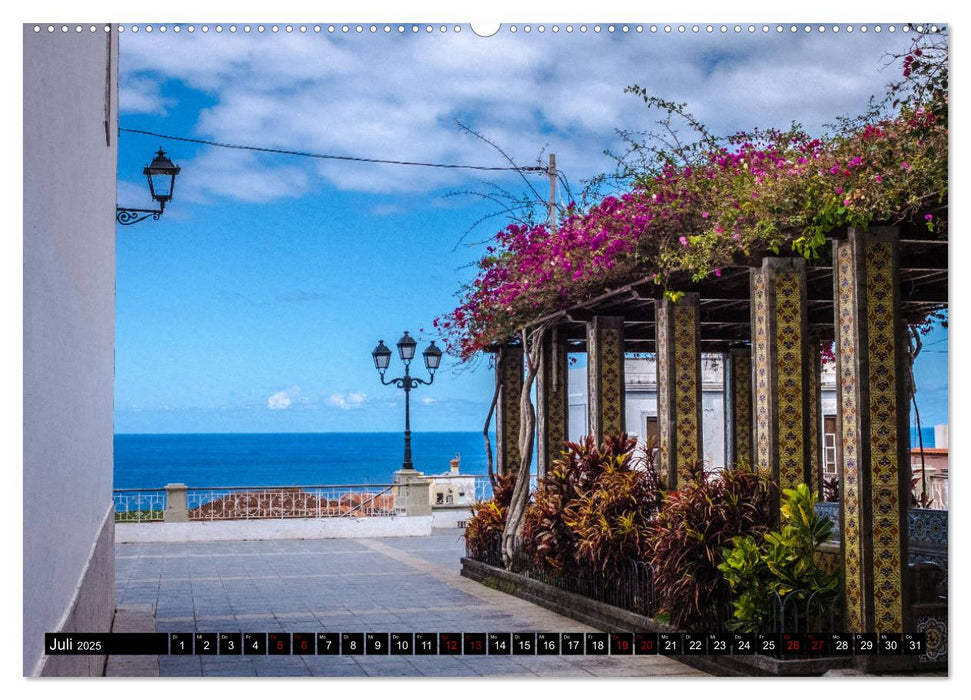 Natur pur erleben auf La Palma (CALVENDO Premium Wandkalender 2025)