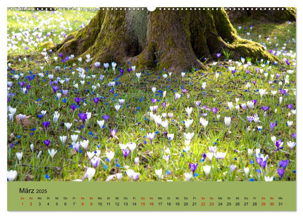 Kurpark Baden-Baden (CALVENDO Premium Wandkalender 2025)