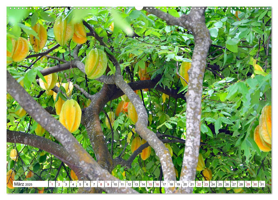 Rarotonga - Trauminsel im Südpazifik. (CALVENDO Wandkalender 2025)