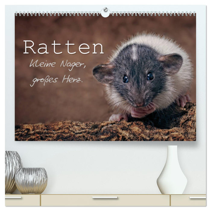 Ratten. Kleine Nager, großes Herz. (CALVENDO Premium Wandkalender 2025)