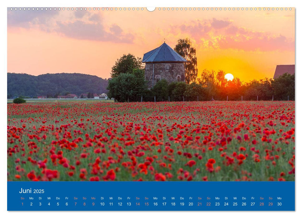 Coswiger Ansichten (CALVENDO Premium Wandkalender 2025)