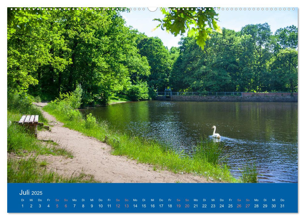 Coswiger Ansichten (CALVENDO Premium Wandkalender 2025)