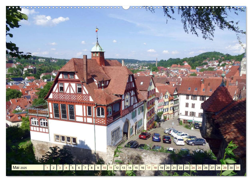 Unterwegs in Tübingen (CALVENDO Premium Wandkalender 2025)