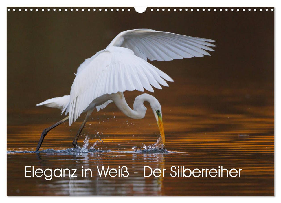 Eleganz in Weiß - Der Silberreiher (CALVENDO Wandkalender 2025)