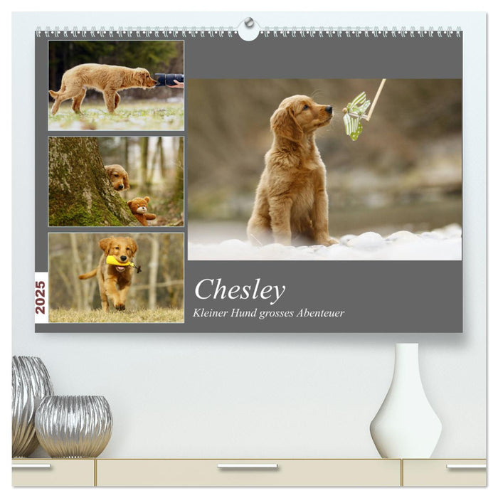 Chesley Kleiner Hund Grosses Abenteuer (CALVENDO Premium Wandkalender 2025)