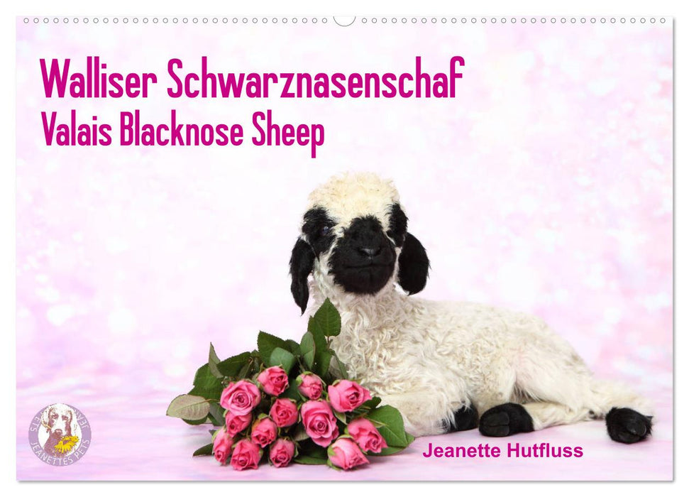 Walliser Schwarznasenschaf Valais Blacknose Sheep (CALVENDO Wandkalender 2025)